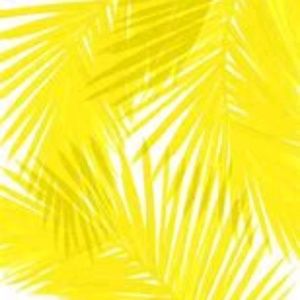 Meet your Posher, Ben